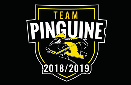 Wir spielen mit im ”Team Pinguine”!